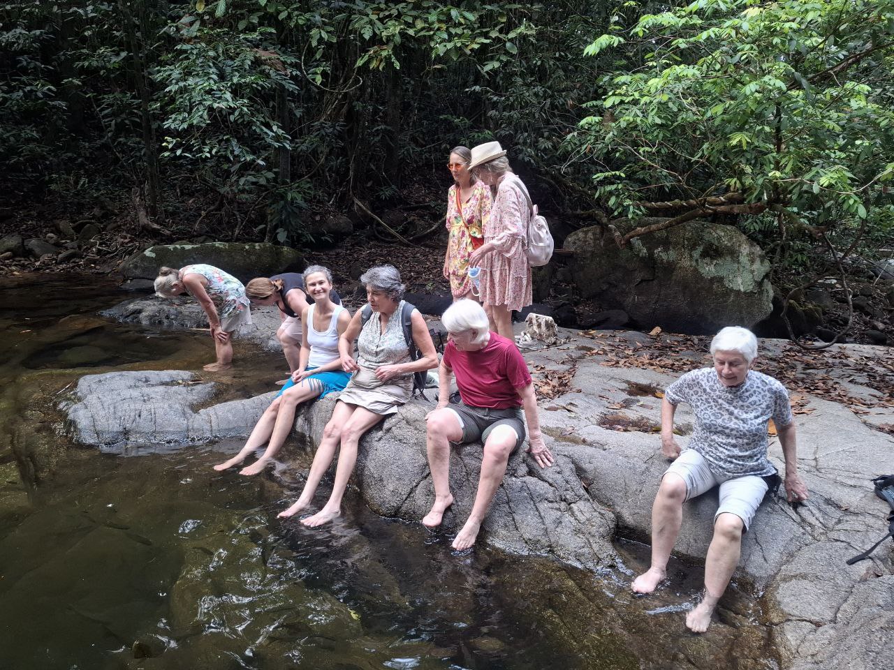 Fasting and Liver Cleanse with Veronika Sauer, March 3–14, 2027, in Thailand - Image 15