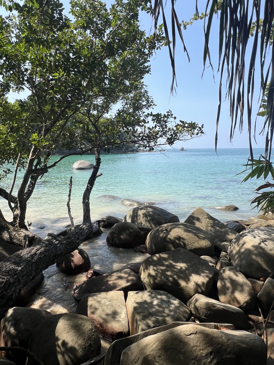 Fasting and Liver Cleanse with Veronika Sauer, March 3–14, 2027, in Thailand - Image 12